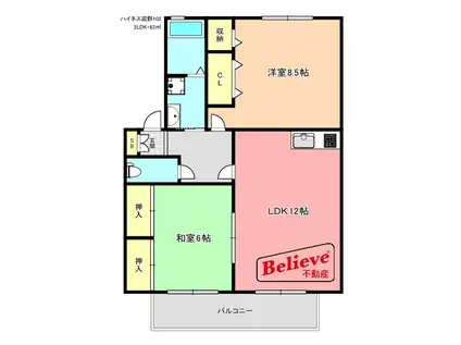 ハイネス迎野(2LDK/1階)の間取り写真