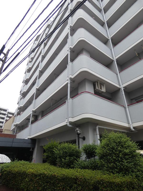 セントラルコーポ川口(2DK/8階)