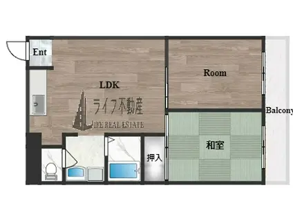 MPLAZA 菱江(2LDK/3階)の間取り写真