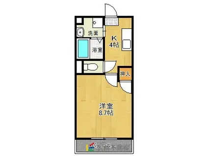 ドリームハウスIII(1K/1階)の間取り写真