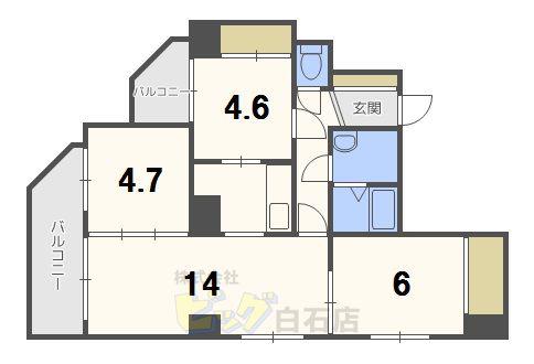 スターアベニュー広和NO11(3LDK/4階)の間取り写真