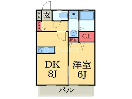 HATUKI3(1LDK/1階)の間取り写真
