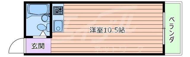 ハイツテラウラ(ワンルーム/2階)の間取り写真
