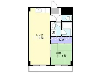 幸和ハイムII(1LDK/1階)の間取り写真