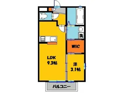 メゾン・ド・MK D(1SK/1階)の間取り写真