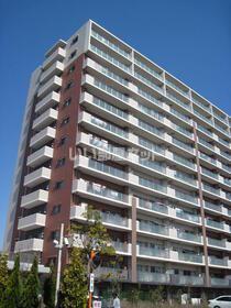 柏田町マンション(3LDK/10階)