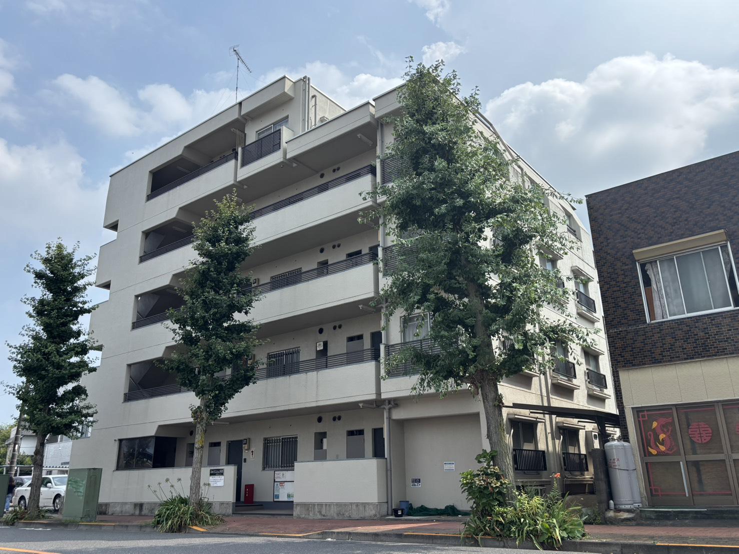 スカイマンション河辺(3DK/2階)