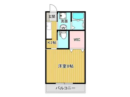 ファーネスト春口(1K/1階)の間取り写真