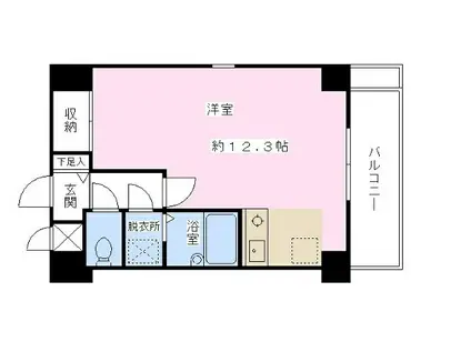 ますみ荘(ワンルーム/2階)の間取り写真