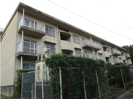 冨善大野ハイツ(3DK/2階)の間取り写真