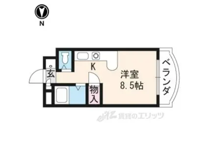 メゾンマロニエ(1K/1階)の間取り写真