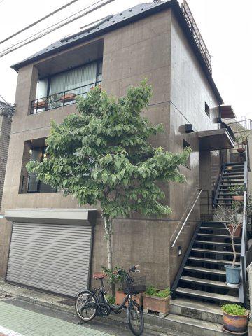 CASA MK カーサエムケー(2SLDK/1階)