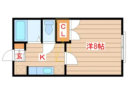 ハイネス小田原(1K/1階)の間取り写真
