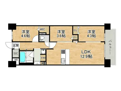 スプランディッドイレブン(3LDK/14階)の間取り写真