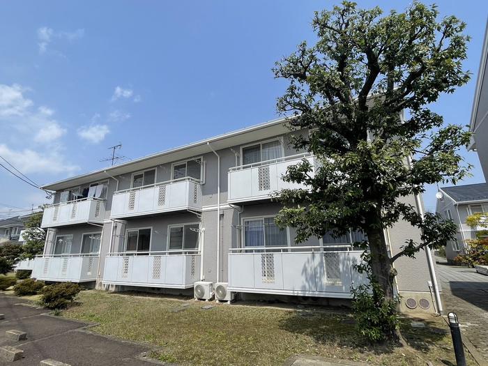 トゥインクルコート若林VII番館(3DK/2階)