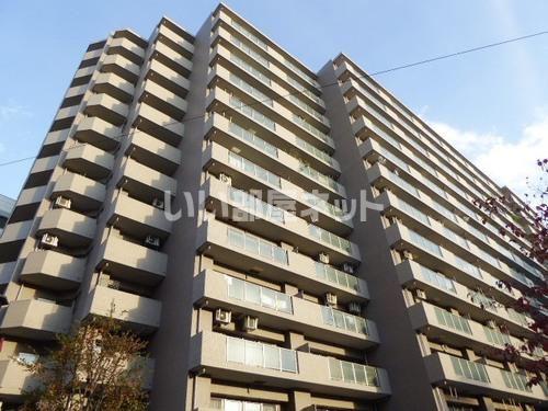 ライオンズマンション大宮高鼻町(3LDK/11階)