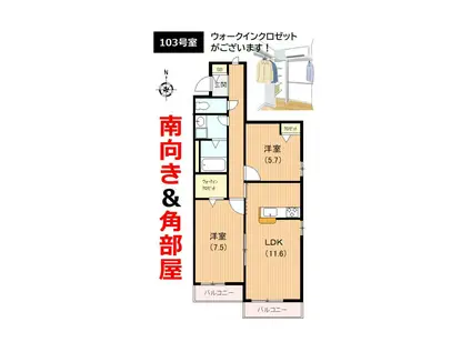 メゾンコーレア23(2LDK/1階)の間取り写真