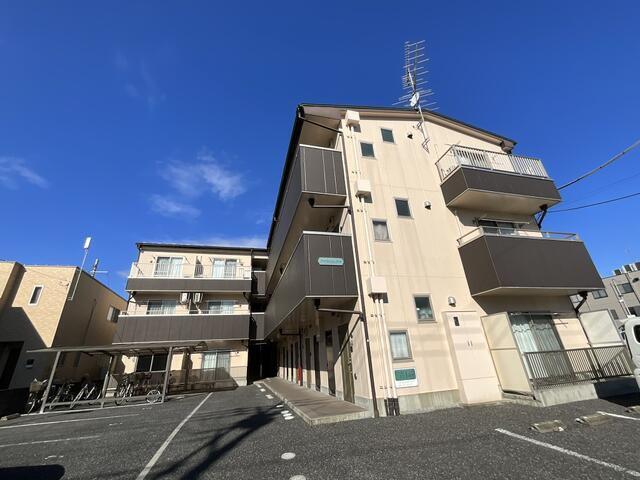 アイリッシュコート(1K/1階)