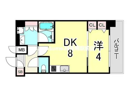 スプランディッドVII(1LDK/8階)の間取り写真