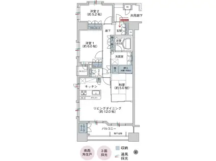 サンデュエル桜城(3LDK/2階)の間取り写真