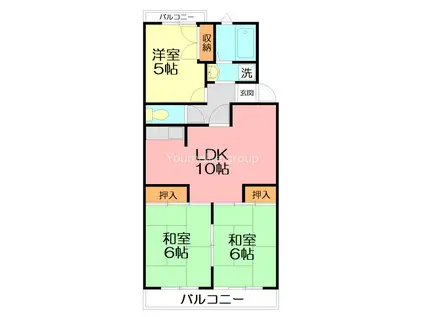 サンパレス湘南III(3LDK/2階)の間取り写真