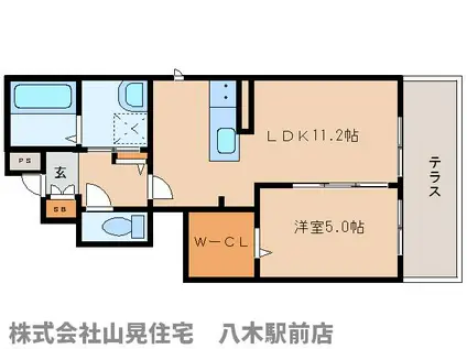 ドミールエビスII(1LDK/1階)の間取り写真