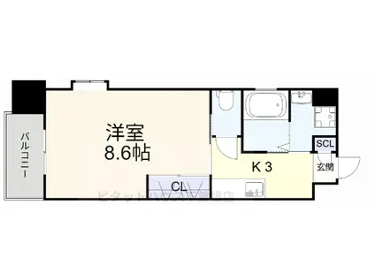 ラフィーネ葛原レスト(1K/3階)の間取り写真