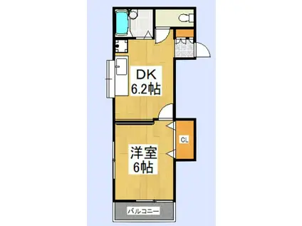 ライフコート柏(1DK/1階)の間取り写真