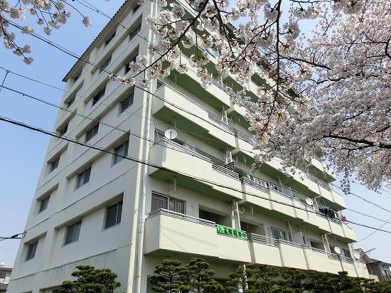 香月マンション(2LDK/1階)