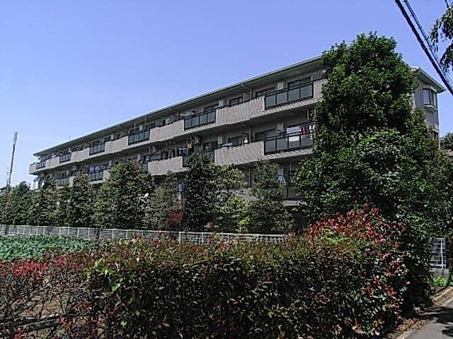 エントピアひばりが丘(3LDK/3階)