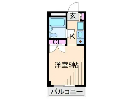 コットンローズ綱島(1K/1階)の間取り写真