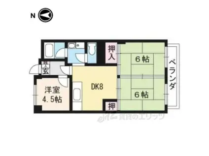 グランドハイツ澤野井(3DK/4階)の間取り写真