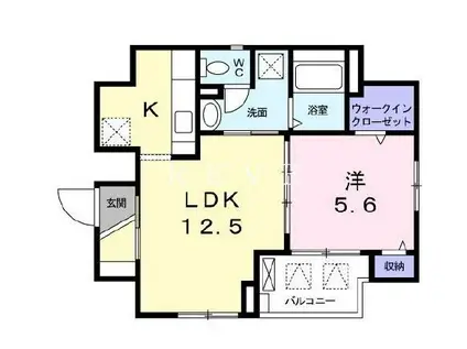 S-GRACE(1LDK/5階)の間取り写真