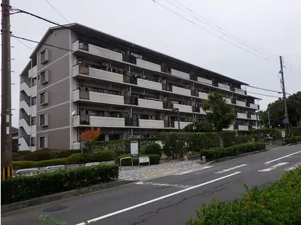 醍醐中市営11棟(2SLDK/3階)の外観写真