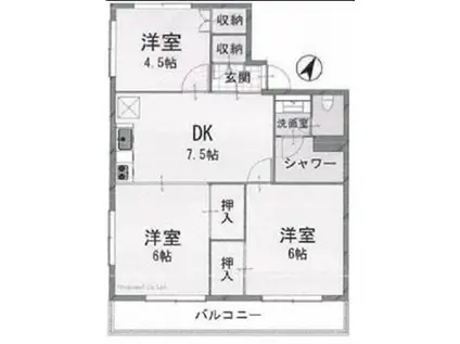 並木町サニーコーポ(3DK/4階)の間取り写真
