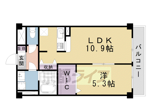 アンプルールフェール西大路(1LDK/1階)の間取り写真