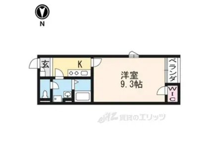 レオネクスト西芝(1K/2階)の間取り写真