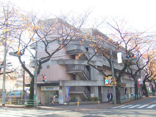 京王線 府中駅(東京) 徒歩5分 築39年(1DK/2階)
