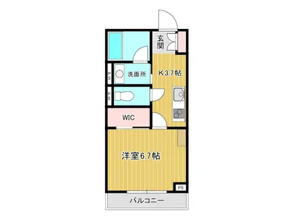 ラッシュド・ノエ大宮(1K/2階)の間取り写真