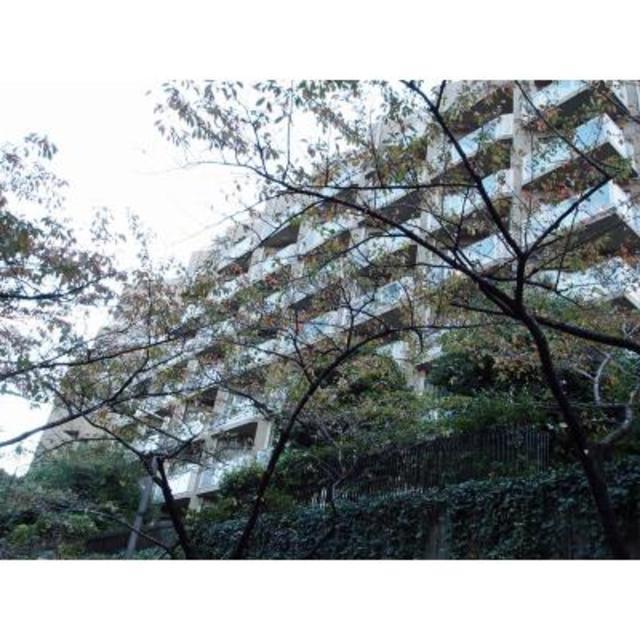 アークヒルズエグゼクティブタワー(1LDK/8階)