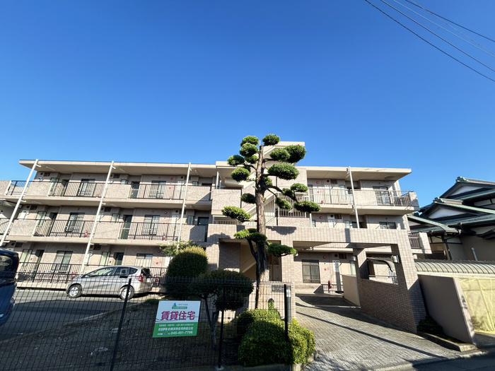 マローネR(3LDK/3階)