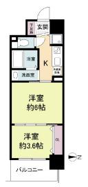 セレニテ心斎橋グランデ(2K/11階)の間取り写真