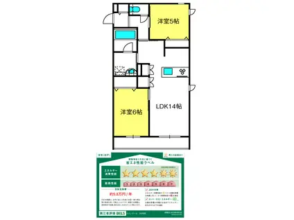 メゾンテール(2LDK/2階)の間取り写真