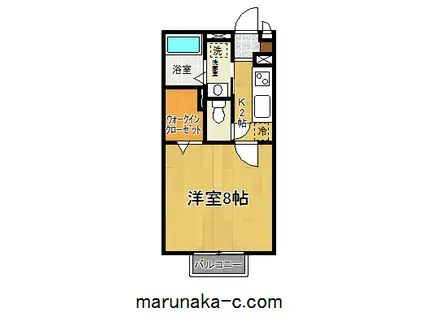 メルヴェーユ橋本(1K/2階)の間取り写真