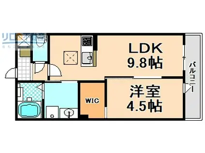シエルメゾン(1LDK/1階)の間取り写真