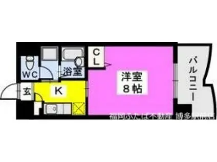 BRILLIANT36(1K/4階)の間取り写真