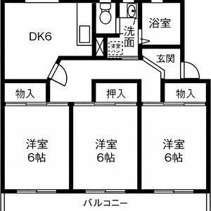 衣浦マンションC棟(3DK/1階)の間取り写真