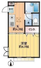 シティハイツ志村(1K/1階)の間取り写真
