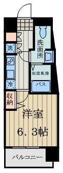 ライズステージ武蔵小金井(1K/10階)の間取り写真