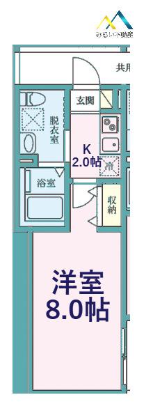 COLINA保土ヶ谷(1K/1階)の間取り写真
